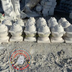 bup-sen-bang-da (4)